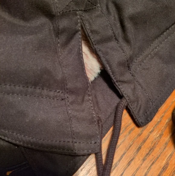 Hollister Parka - Picture 5 of 5